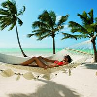 Отзыв от Лика - DTV виза